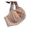 CrossGearX Soutien-Gorge Spécial Prothèse Pocketbra Chair